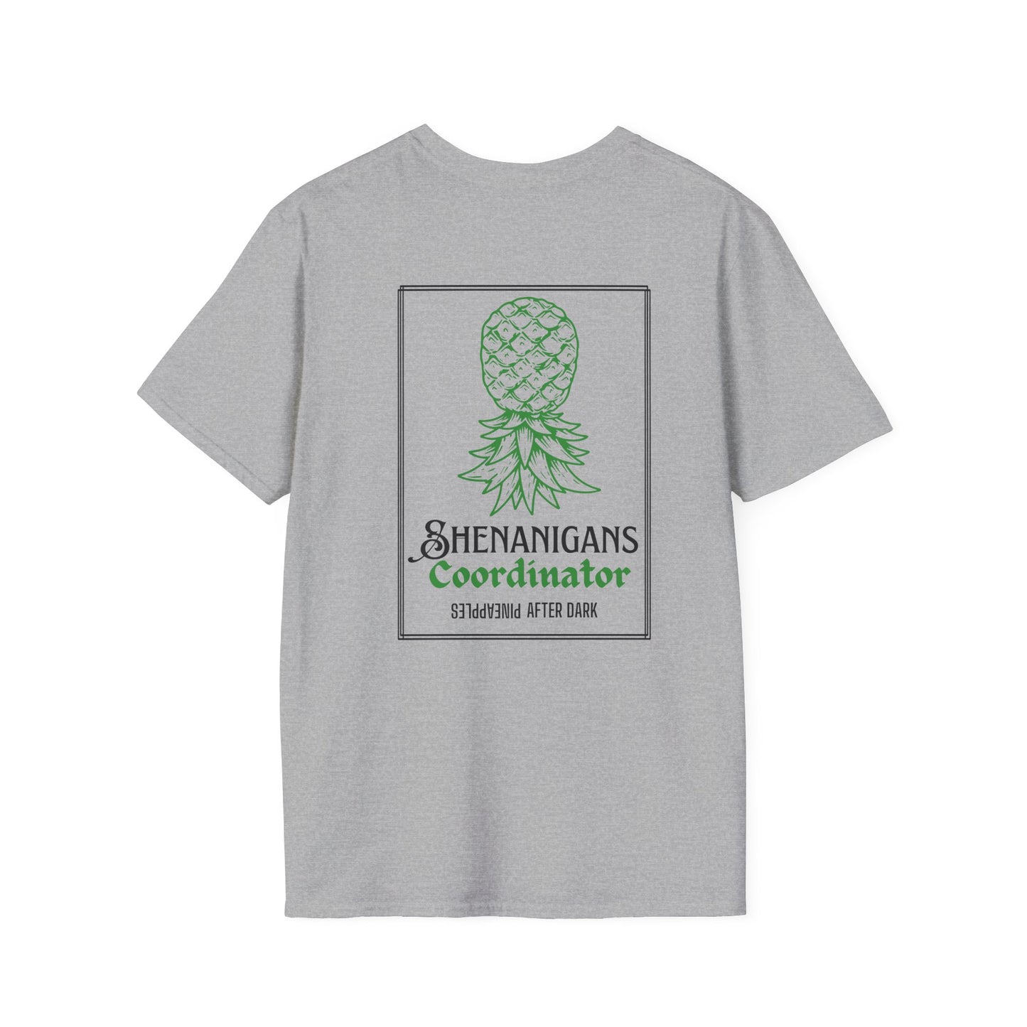 Shenanigans Coordinator- St Paddies 2025